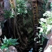 Cenote number 1